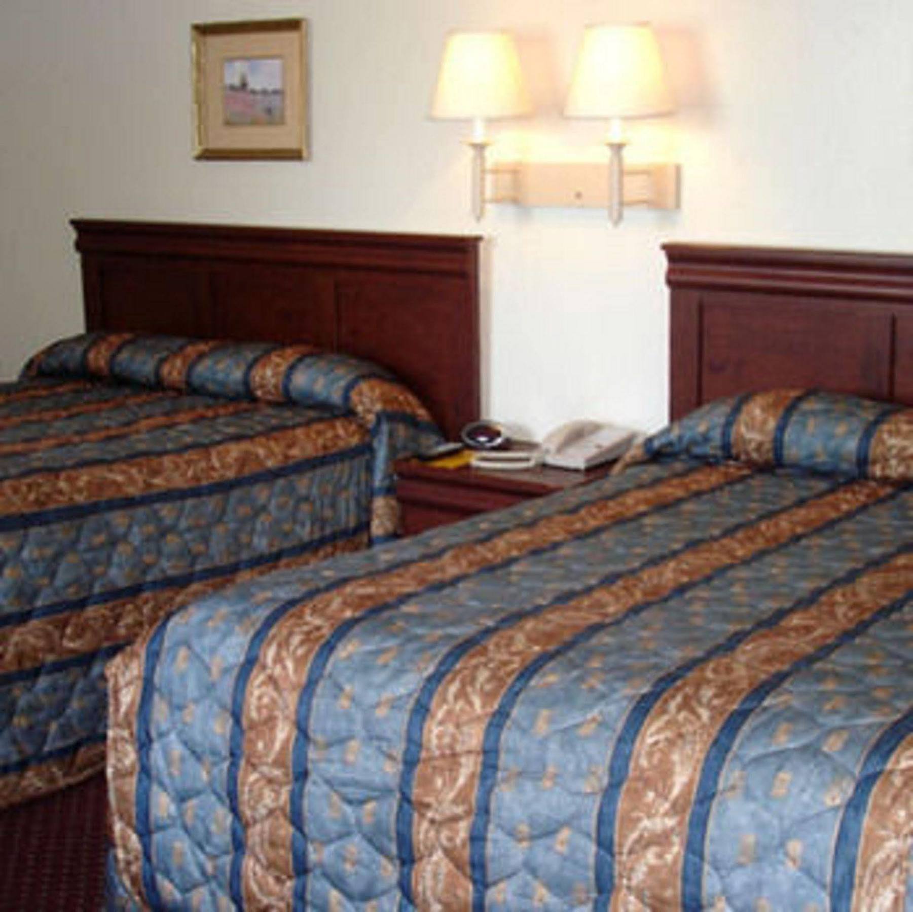 The Whispering Pines Motel- Whitestone White Stone Cameră foto